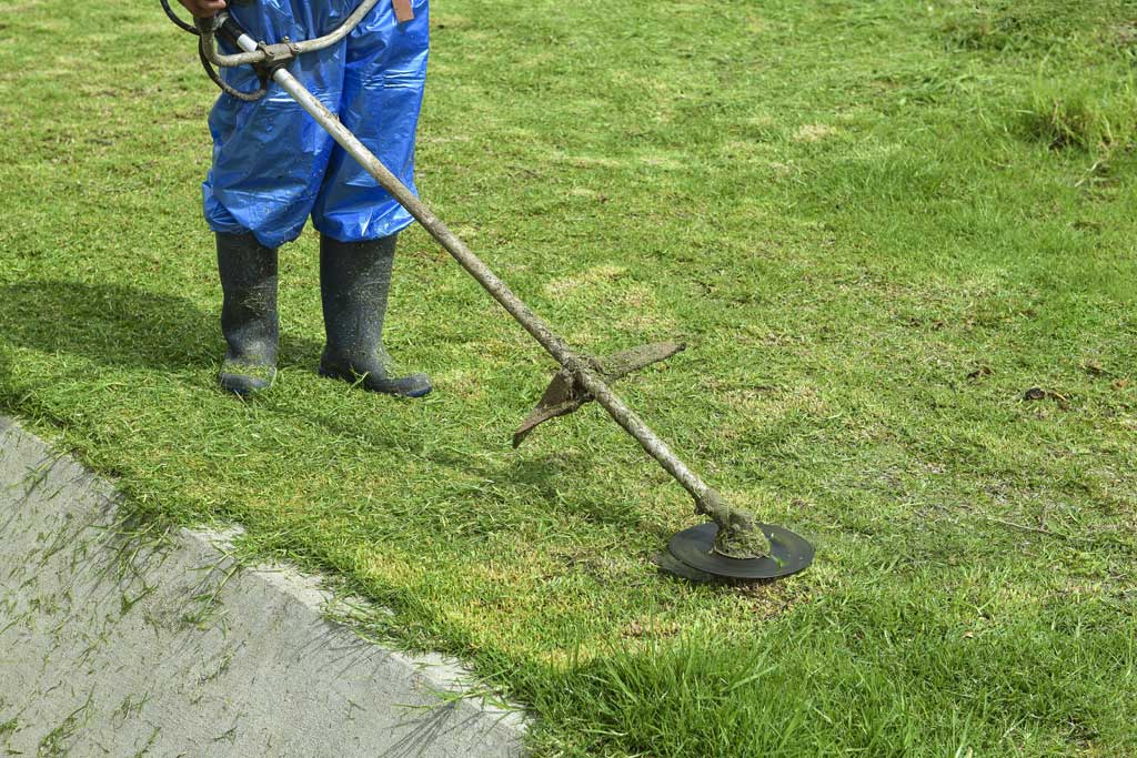 Why Green Cleaning is Best For Your Business